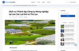 Ảnh Source Code Web Dịch Vụ Thành Lập Công Ty Next.js 16, Prisma, MongoDB (Full Frontend + Dashboard) 6