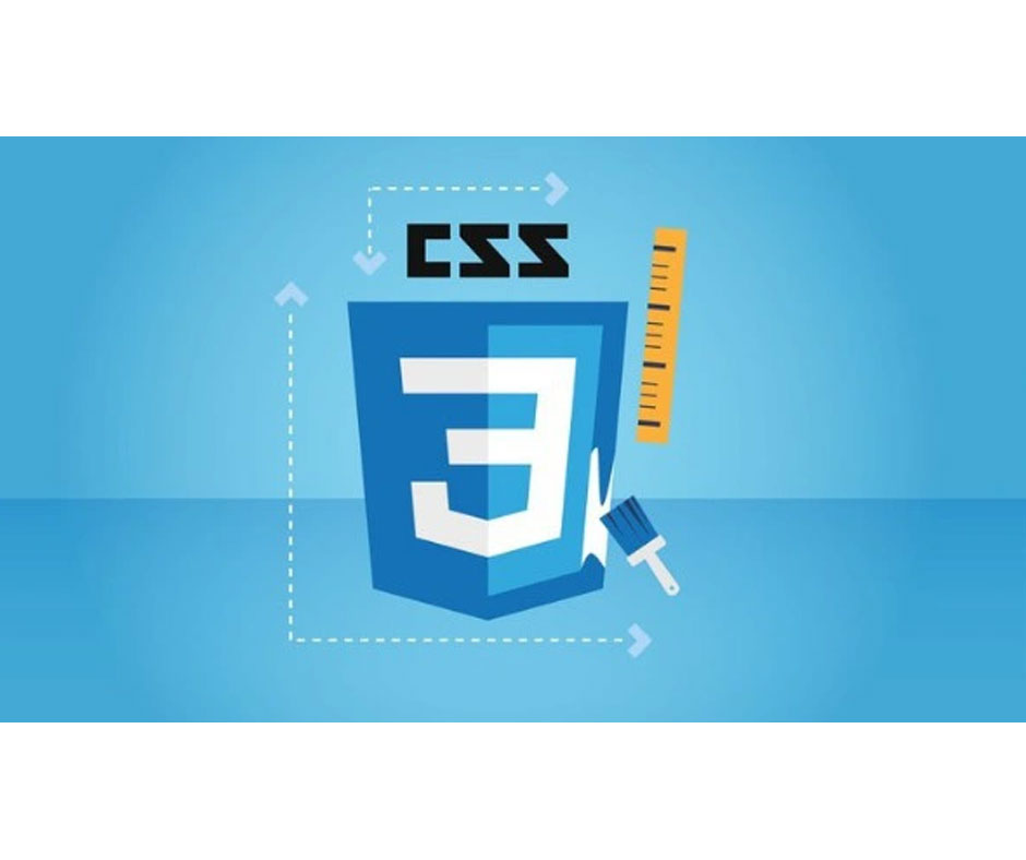 Học CSS Cơ Bản: Tạo Kiểu Cho Trang Web Của Bạn